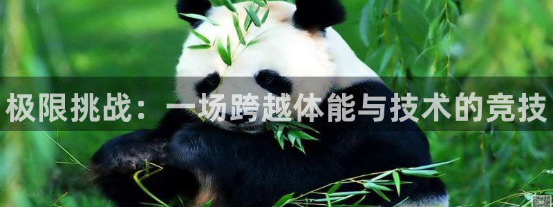 yy易游官网下载招商电话号码是多少号:极限挑战:一场跨越体能